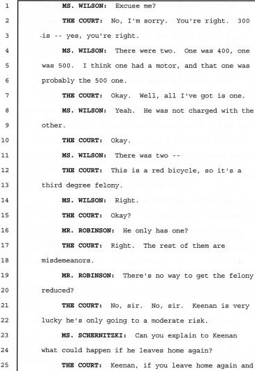 judge-goodman-transcript0106